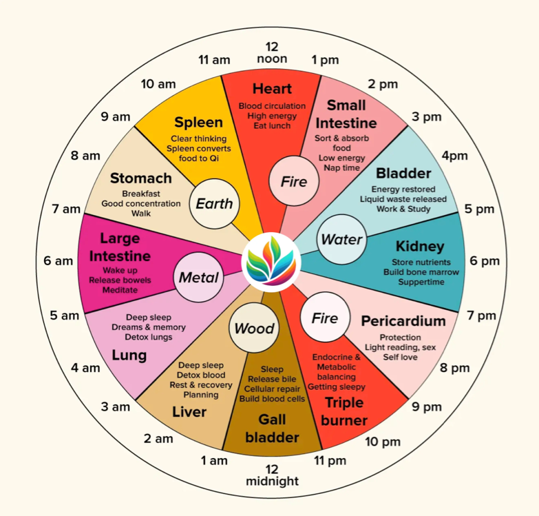 Biological-Clock_1